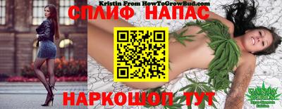 наркотики Изобильный