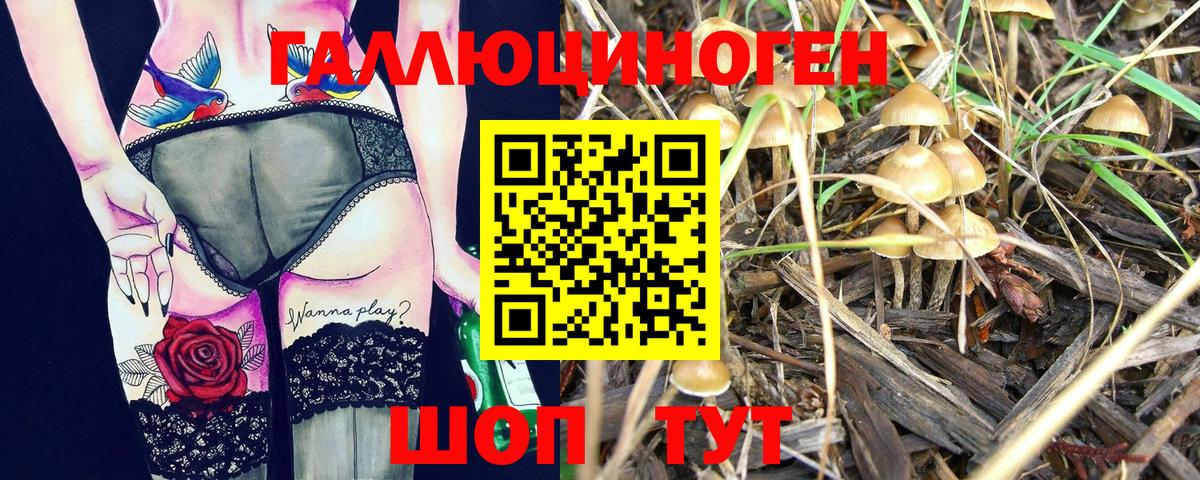 Псилоцибиновые грибы прущие грибы  Вход с VPN  купить закладку  Лесозаводск 